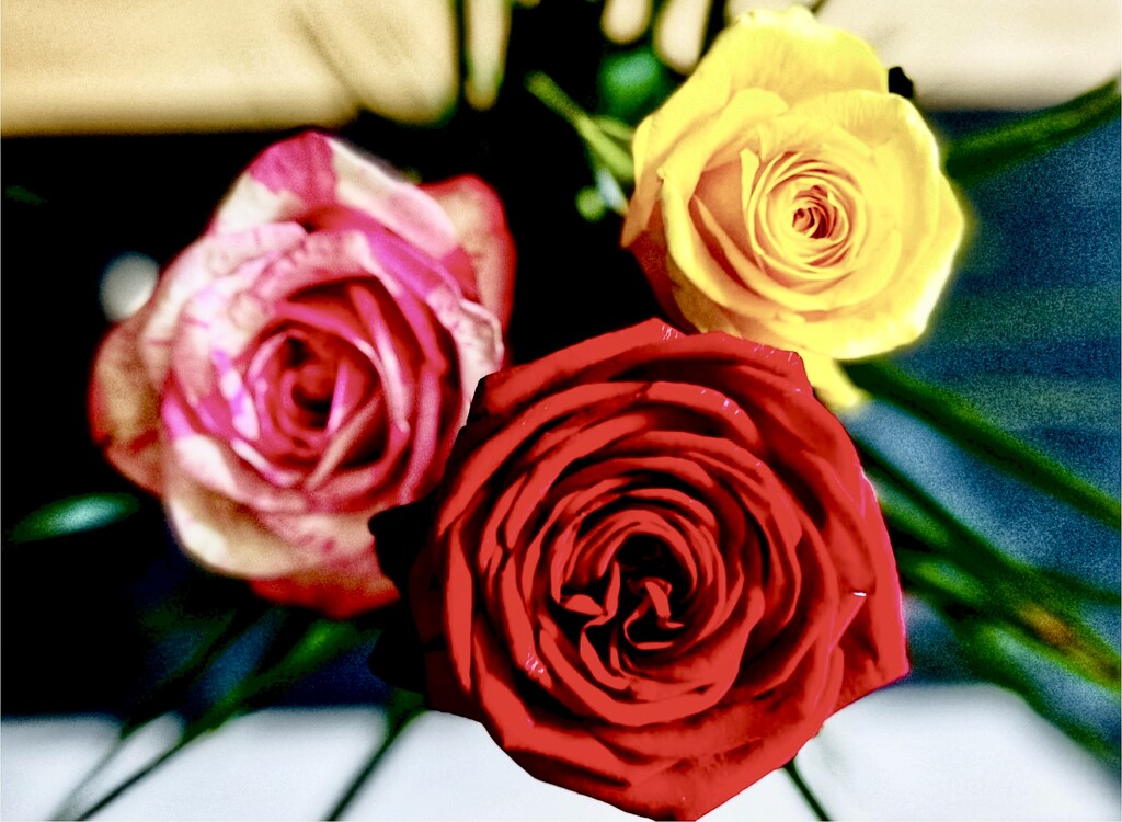 Swirly Roses  by rensala