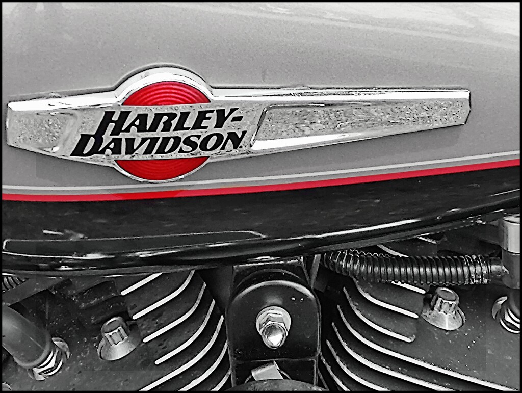 Harley Davidson by olivetreeann