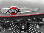 26th Mar 2024 - Harley Davidson