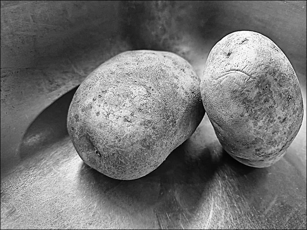 Two Big Potatoes by olivetreeann