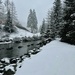 A snowy scene  by jeremyccc