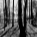 Vertical motion blur 2... by marlboromaam