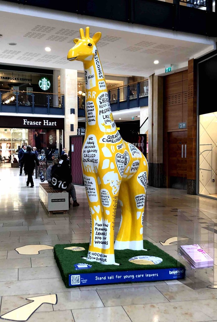 Giraffe in Cambridge by arkensiel
