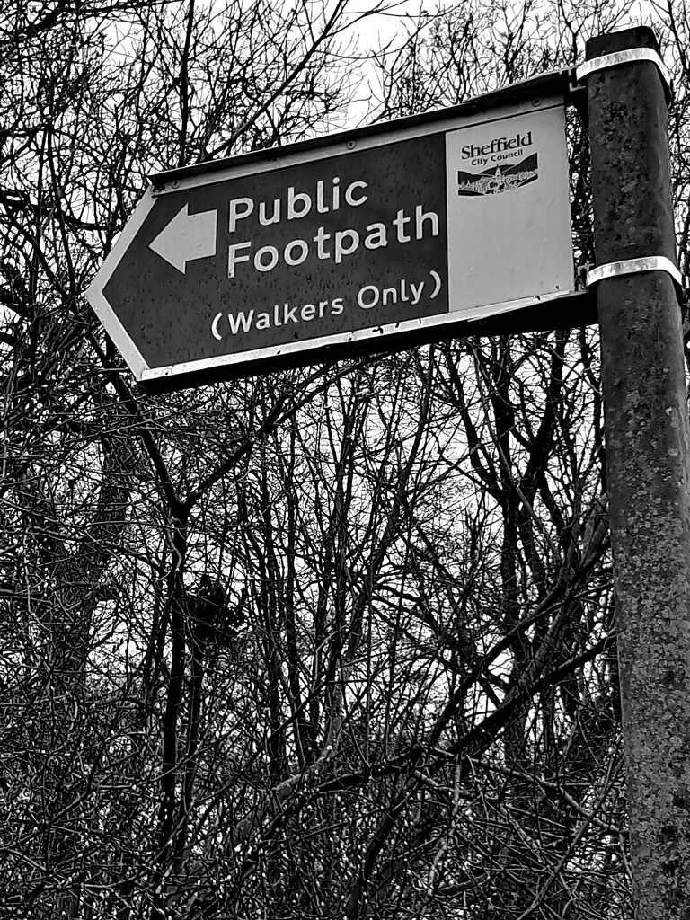 Day 88/366. Public footpath. by fairynormal