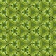 28th Mar 2024 - patterned in green