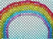29th Mar 2024 - Rainbow Mosaic