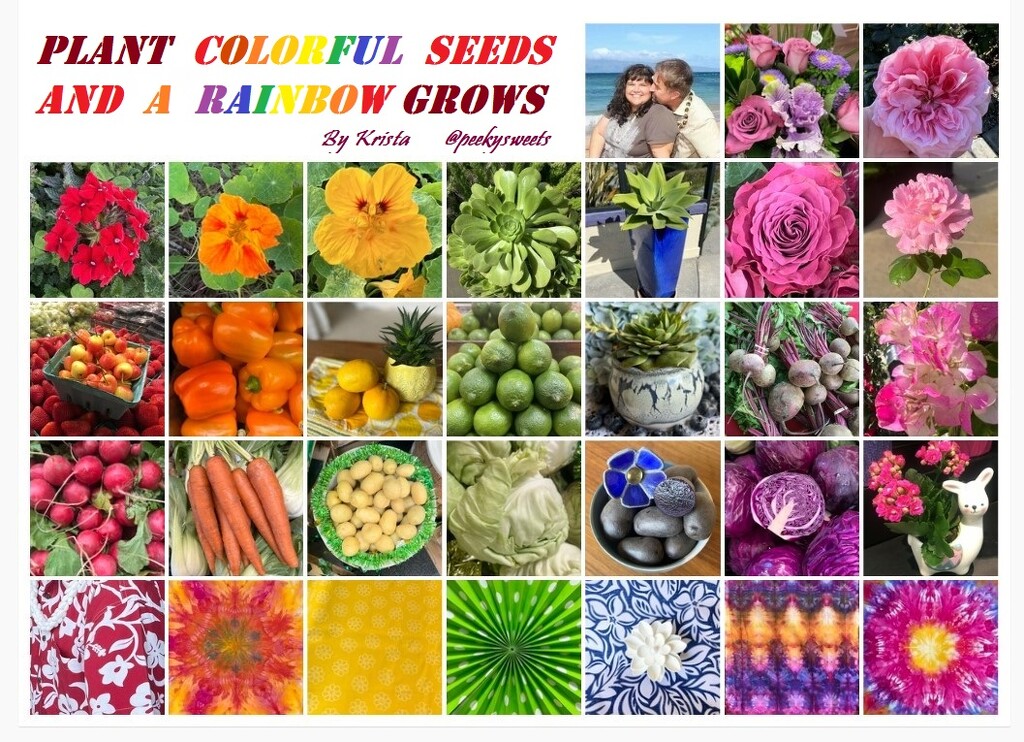Plant Colorful Seeds and a RAINBOW will Grow by peekysweets