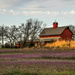 A Kansas Color Palette by kareenking