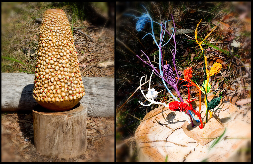 Ku-Ring-Gai Sculpture Trail 4 - Banksea and Banksia Bouquet by annied