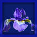 Iris -blue 