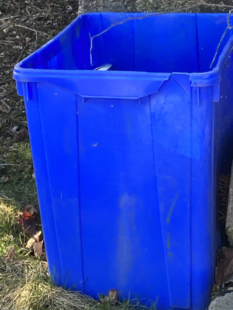 Blue Recycling Box  by spanishliz