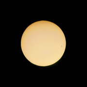 27th Mar 2024 - 087 - The Sun