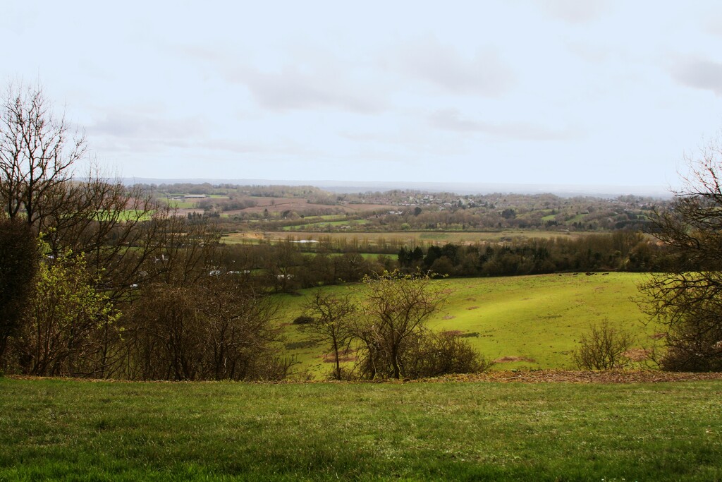 view point by tedswift