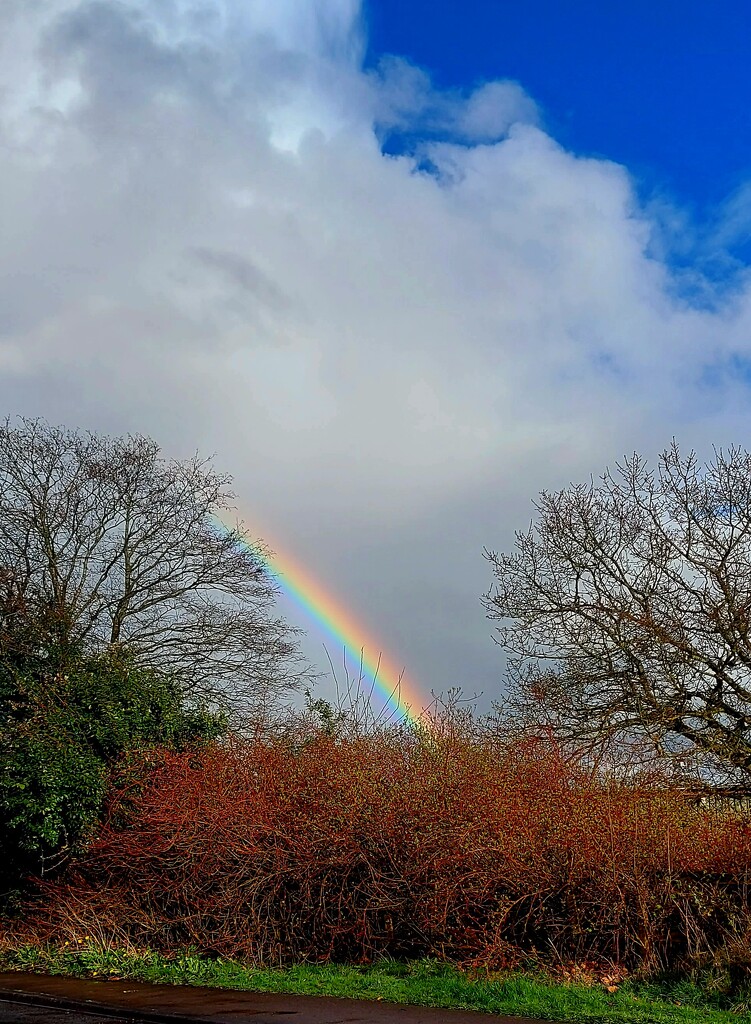 Chasing Rainbows by antmcg69