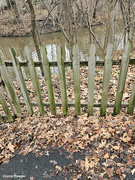 29th Mar 2024 - Picket fence