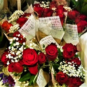 30th Mar 2024 -  Red, Red Roses ~