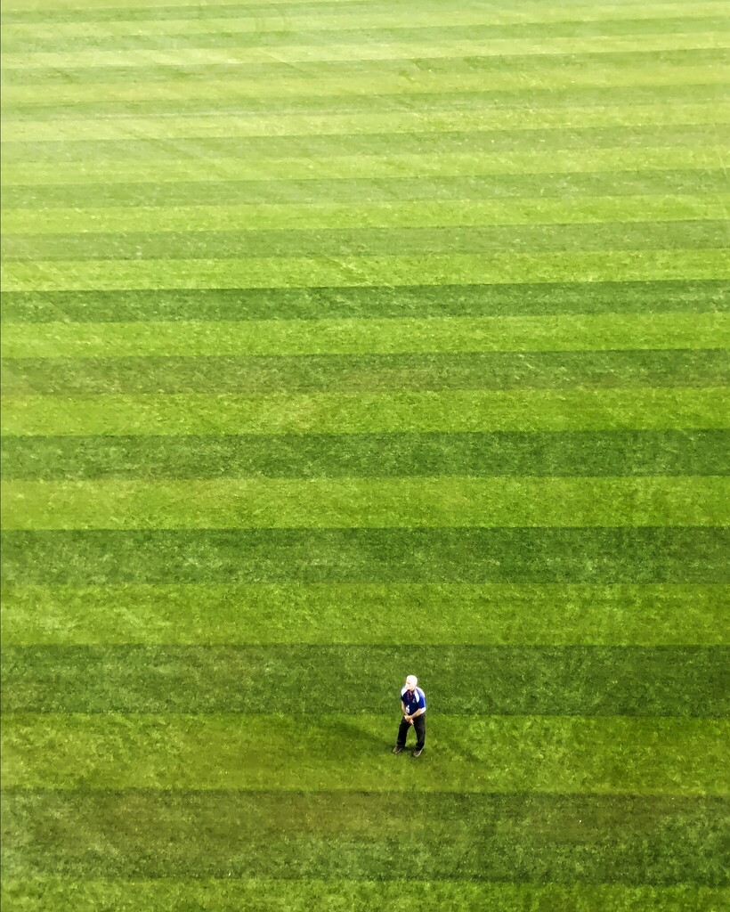 Man on Field by judyc57