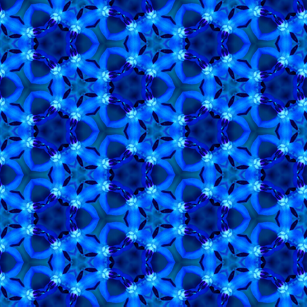 borage blue patterns by koalagardens