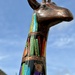 Bookish giraffe by lizgooster