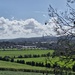 Wiltshire view...