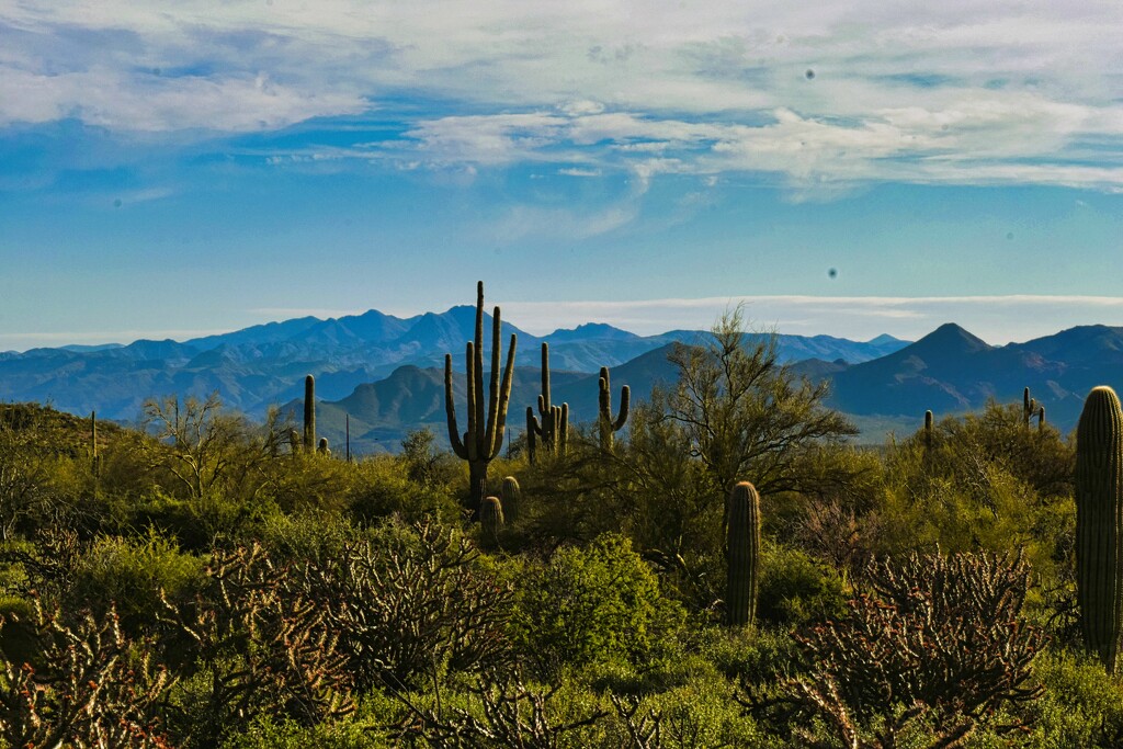 3 28 Mountain Desert View from North Trail by sandlily