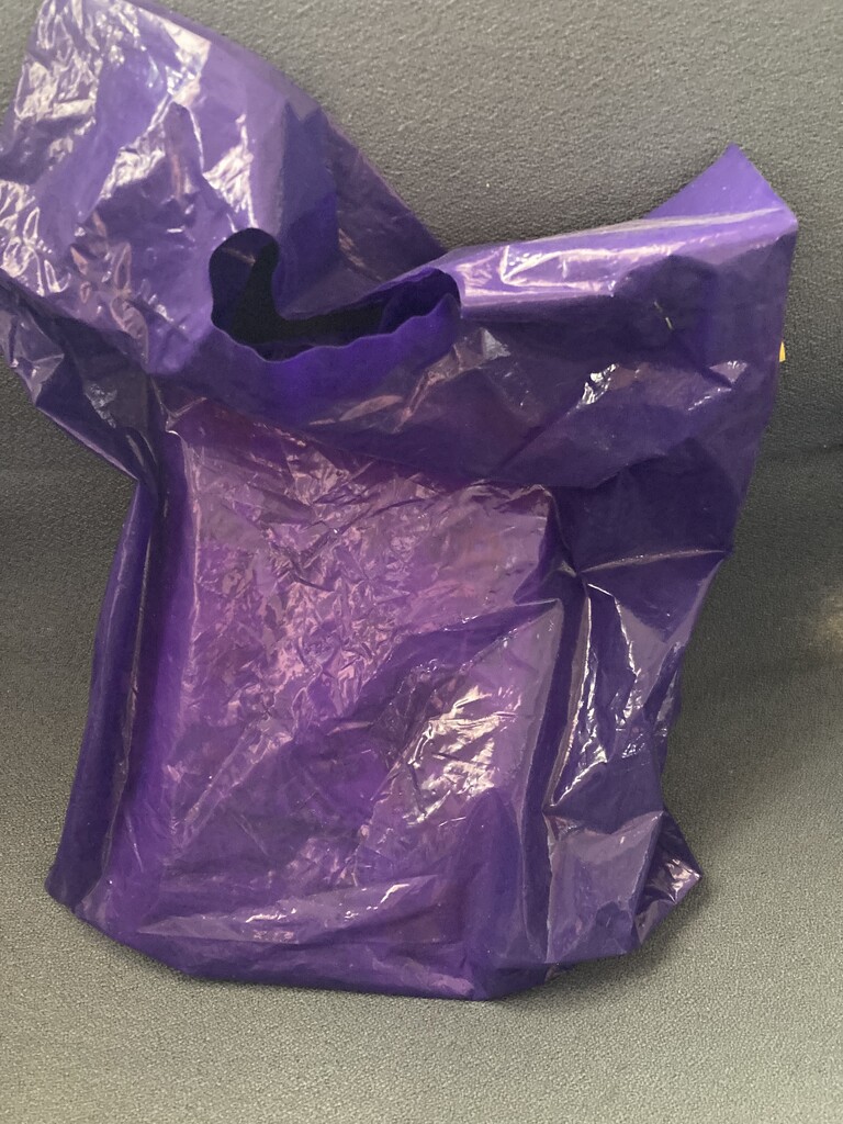 Purple Bag by spanishliz