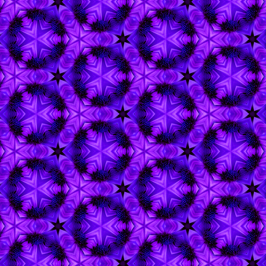 star struck with purple by koalagardens