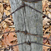 Fence post by larrysphotos