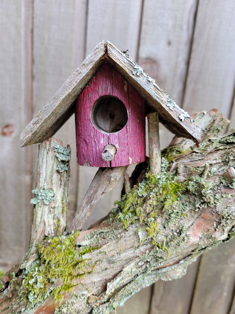 Tiny Birdhouse by kimmer50