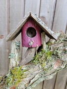 30th Mar 2024 - Tiny Birdhouse
