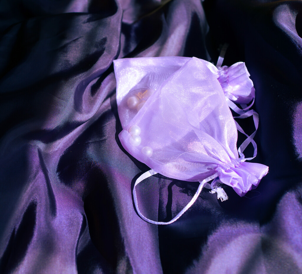 Purple pearl pouches  by cristinaledesma33