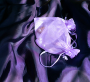 30th Mar 2024 - Purple pearl pouches 