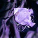 Purple pearl pouches  by cristinaledesma33