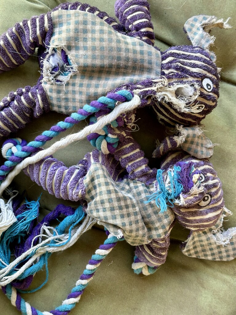 Purple basket by pandorasecho