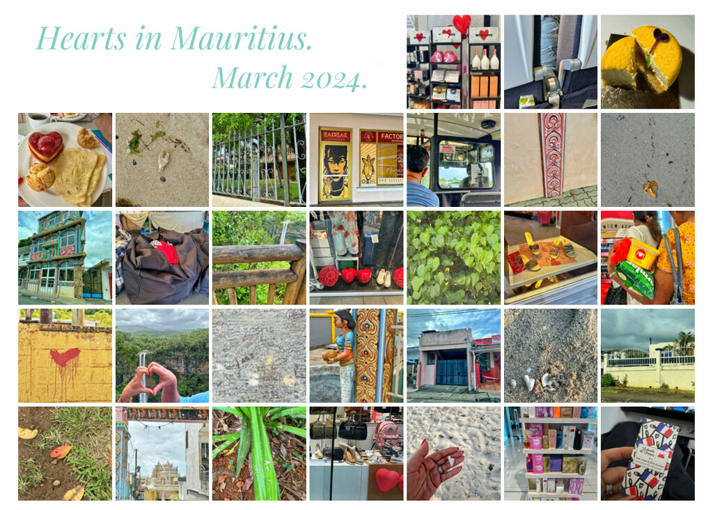 Hearts in Mauritius, March 2024.  by cocobella