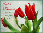 31st Mar 2024 - Easter Blessings