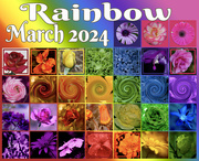 31st Mar 2024 - Show us your rainbows!