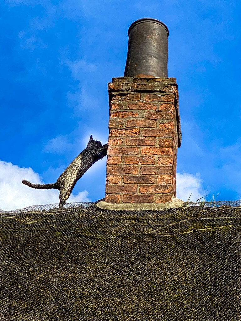Thatched Cat and Chimney by tonus