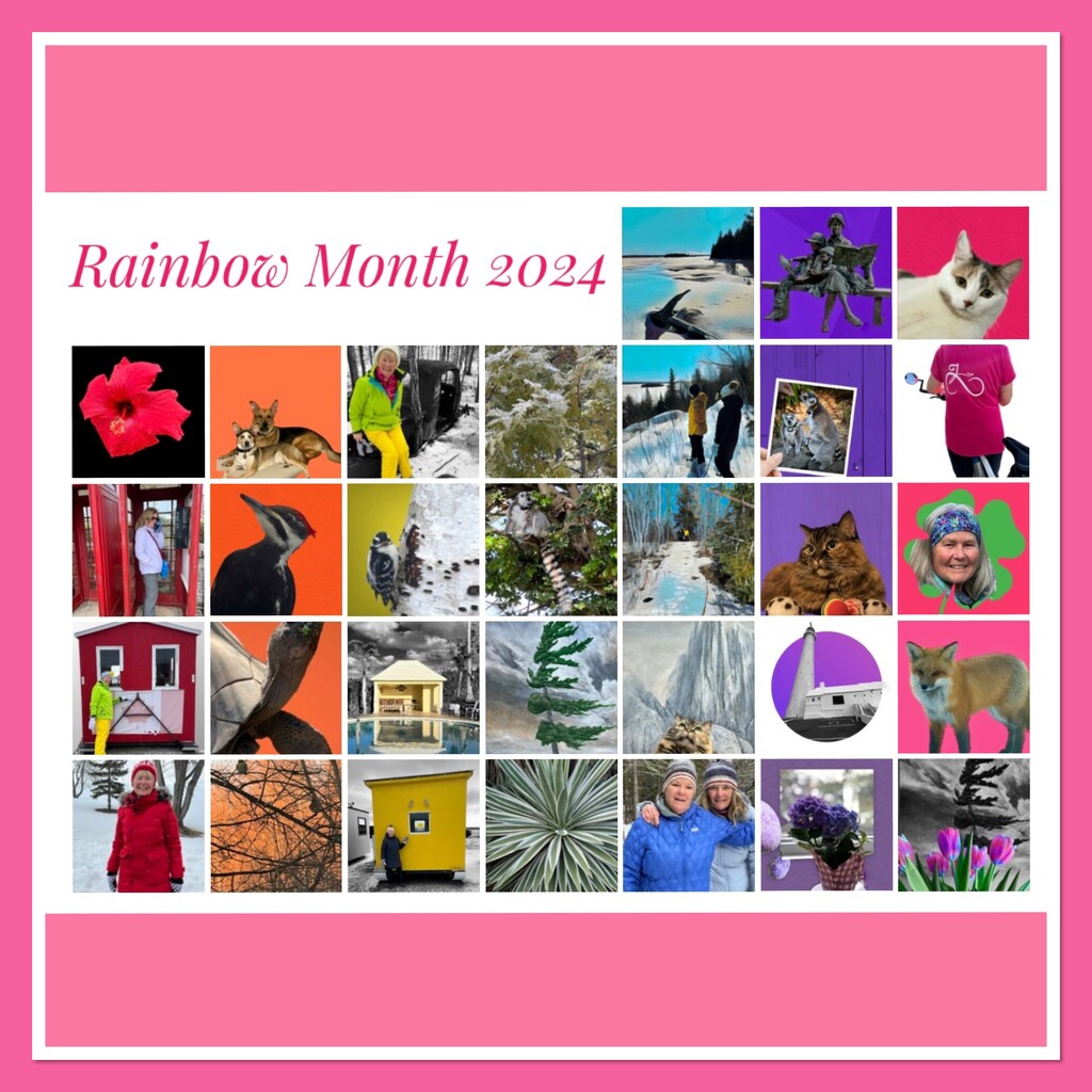 Rainbow Month 2024 by radiogirl