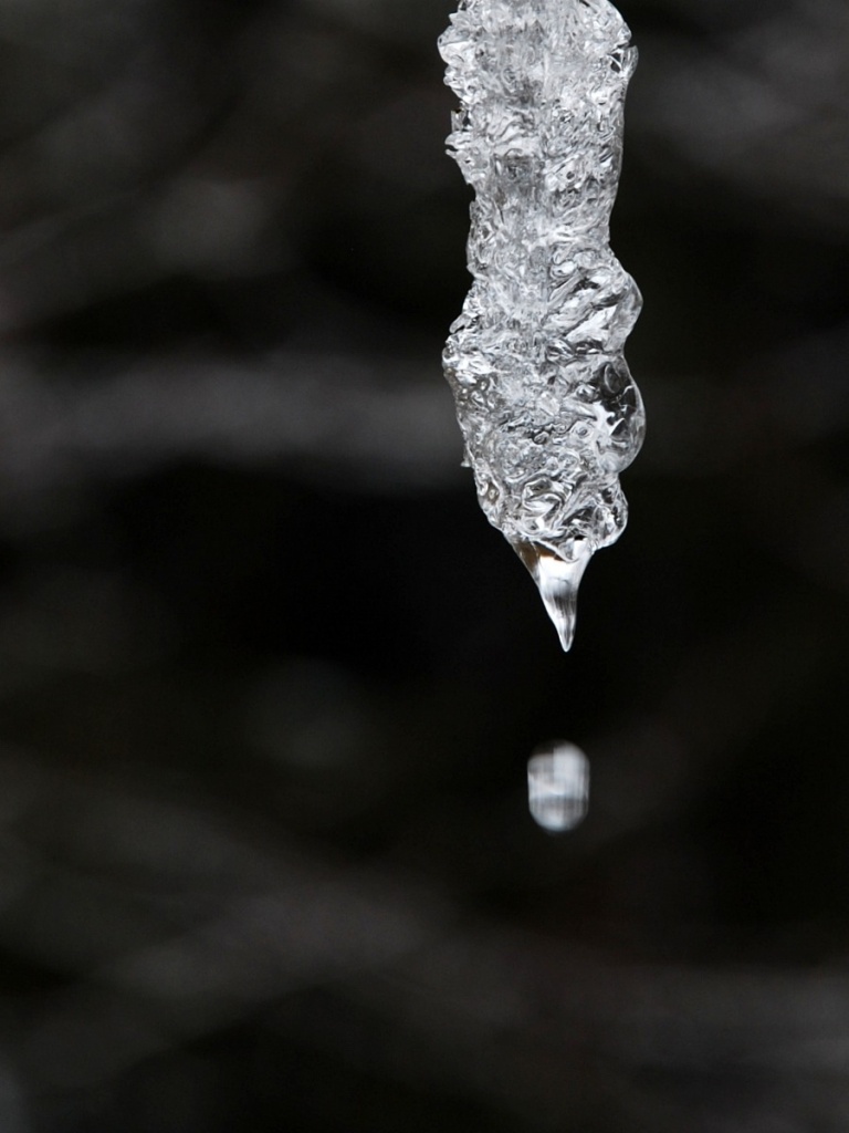 Icicle Dripping by sharonlc