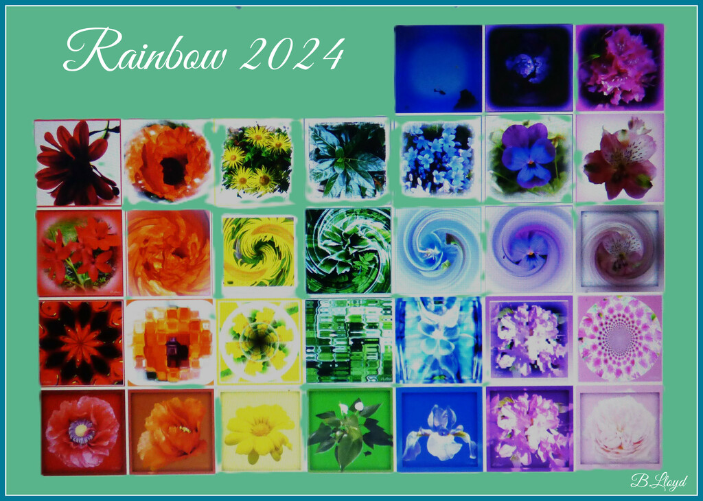 Rainbow 2024 by beryl