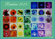 31st Mar 2024 - Rainbow 2024
