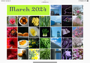 31st Mar 2024 - Rainbow month 2024
