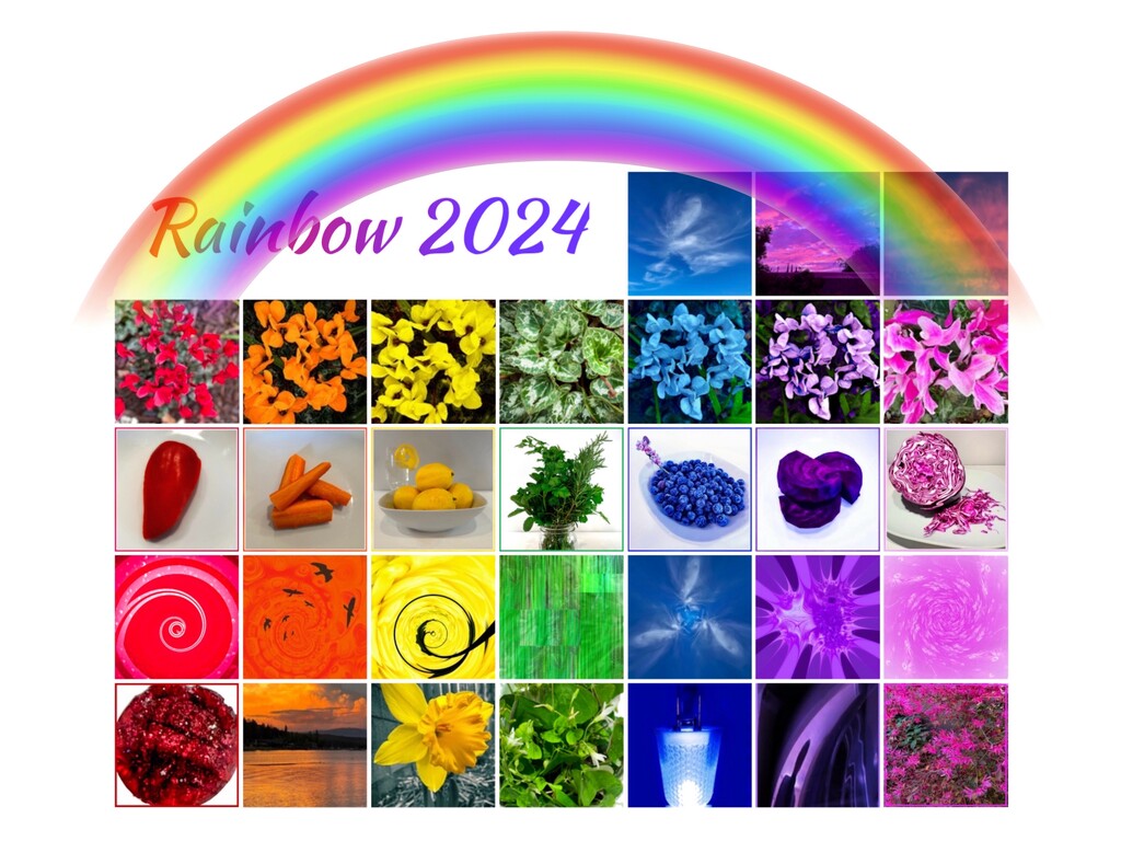 Rainbow2024 by shutterbug49