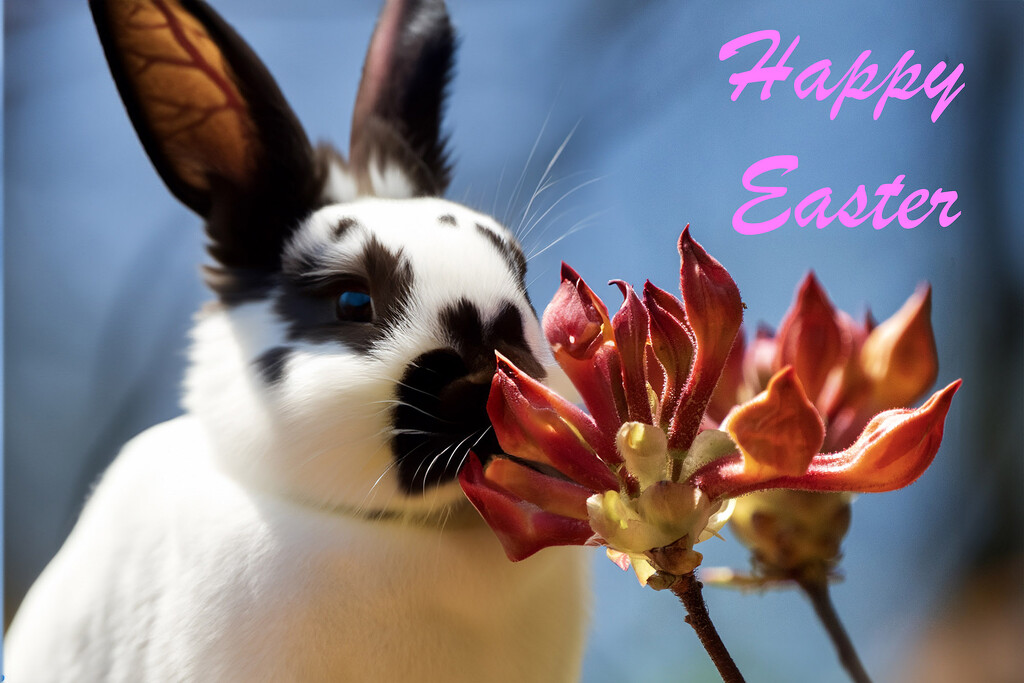 Happy Easter by k9photo