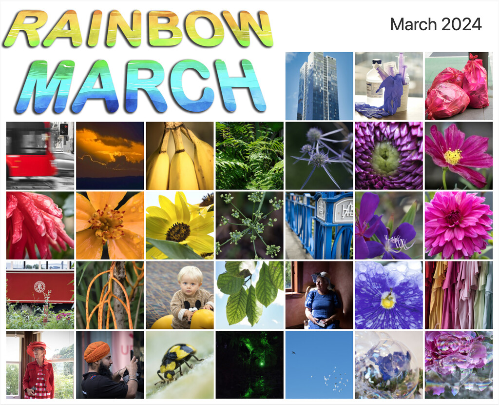 Rainbow March by dkbarnett