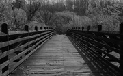29th Mar 2024 - wooden bridge
