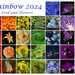 Food and Flowers For Rainbow 2024 by merrelyn