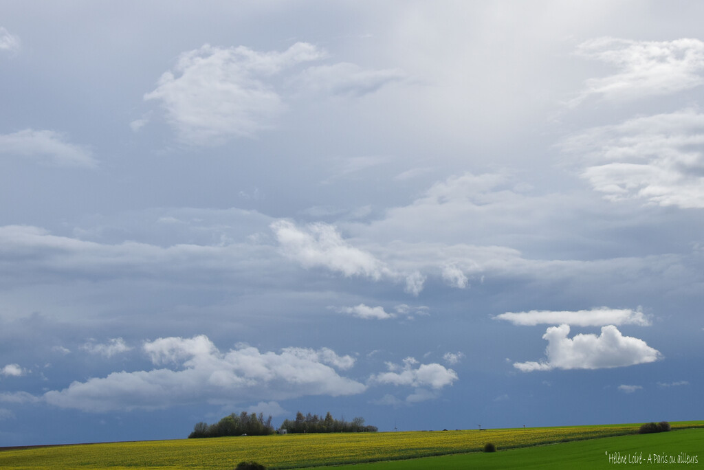 grey, white, yellow and green by parisouailleurs