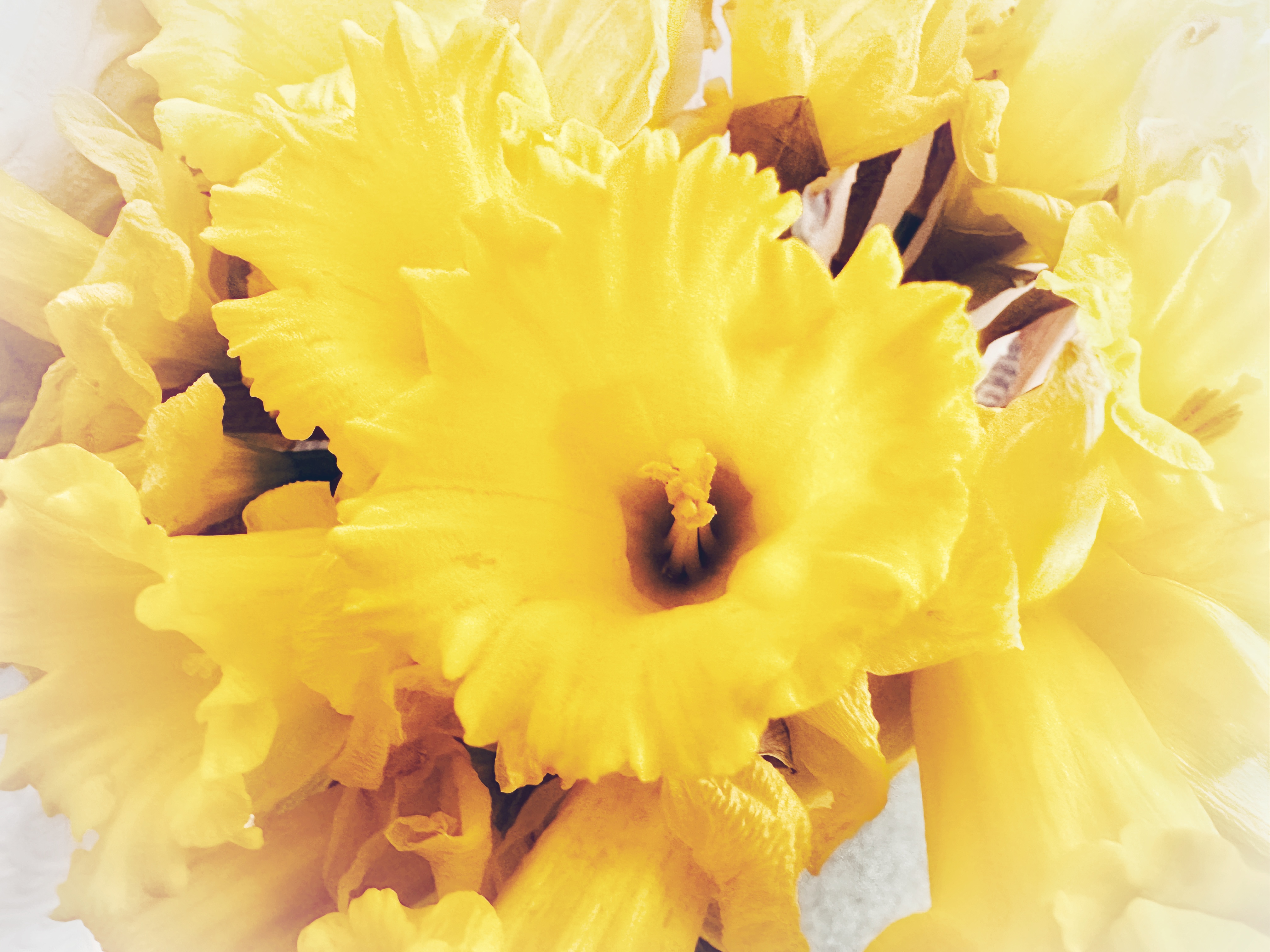 24th March 2024 by Emma Durnford · 365 Project